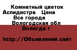 Комнатный цветок Аспидистра › Цена ­ 150 - Все города  »    . Вологодская обл.,Вологда г.